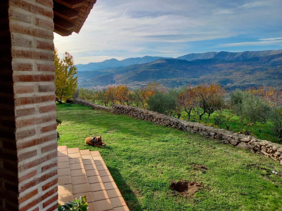 Holiday home La Cirujana De Gredos *