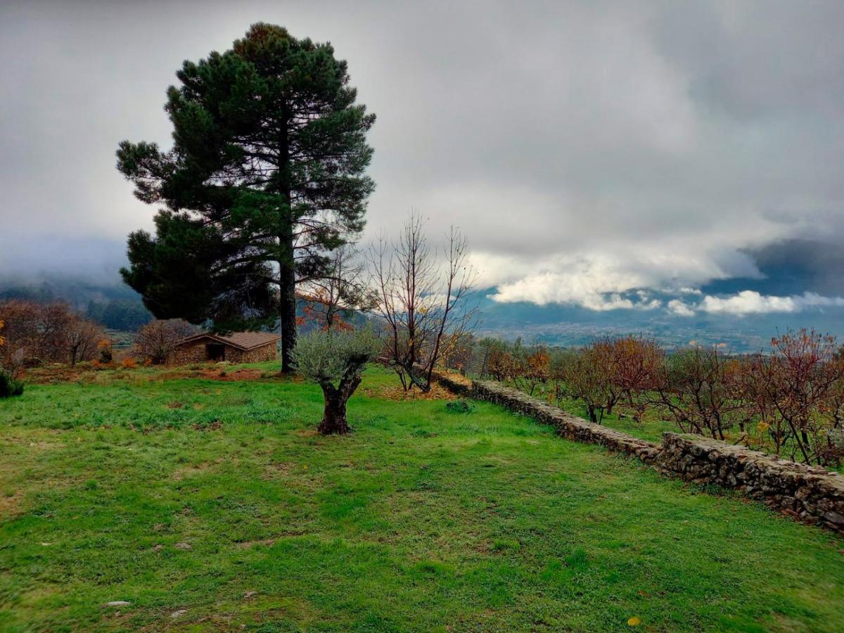 La Cirujana De Gredos Holiday home